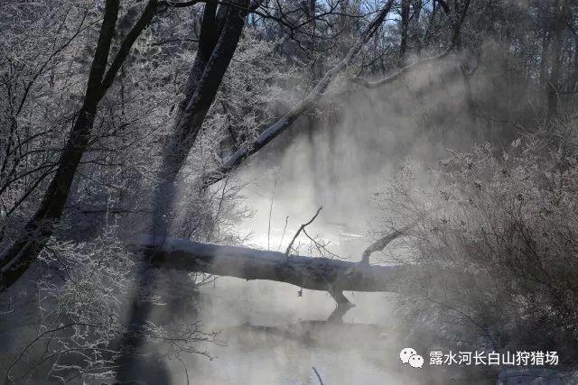 尼弗卡拉遗址